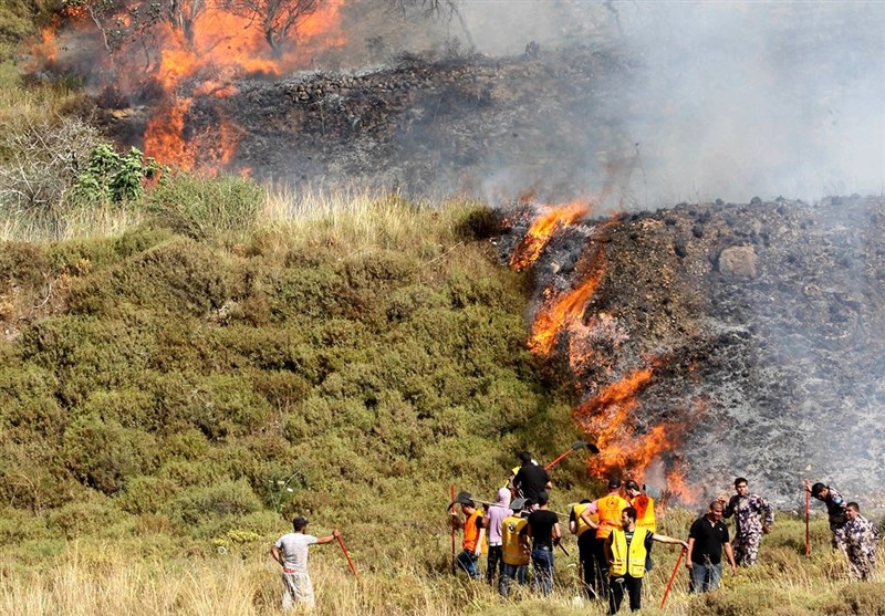 Israeli Settlers Commit Arson, Vandalism in West Bank Attacks