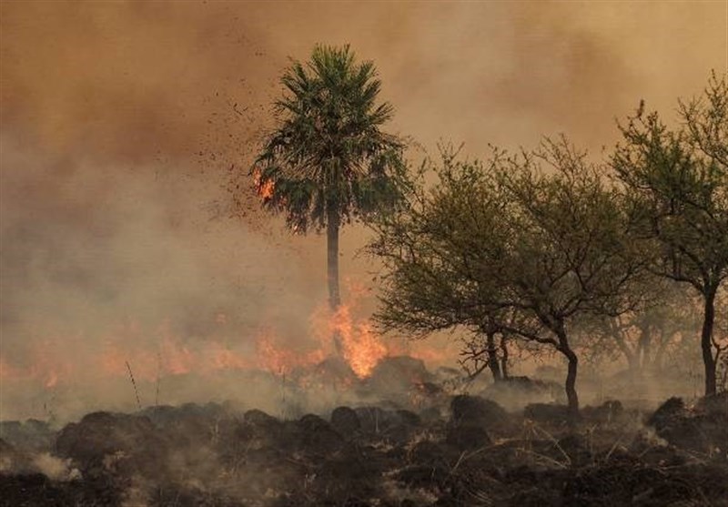 Wildfire Devours 3,500 Hectares of National Park in Argentina