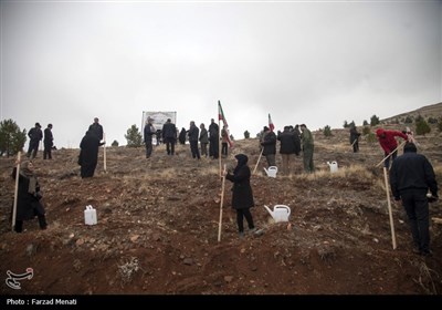 کاشت نهال بمناسبت روز پدر در کرمانشاه