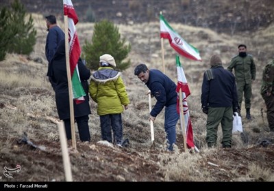 کاشت نهال بمناسبت روز پدر در کرمانشاه
