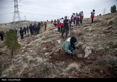 کاشت نهال بمناسبت روز پدر در کرمانشاه