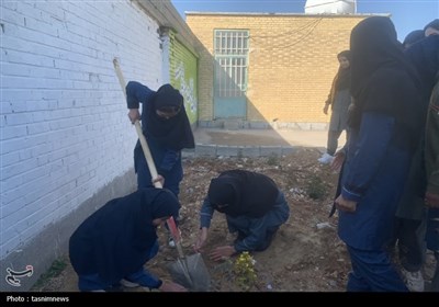 پویش درختکاری &#171;پدر&#187; در یاسوج