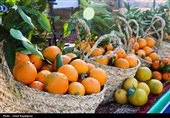 ذخیرهسازی 250 تن میوۀ شب عید در لرستان