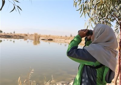 سرشماري،پرندگان،آبزي،حفاظت،جمعيت