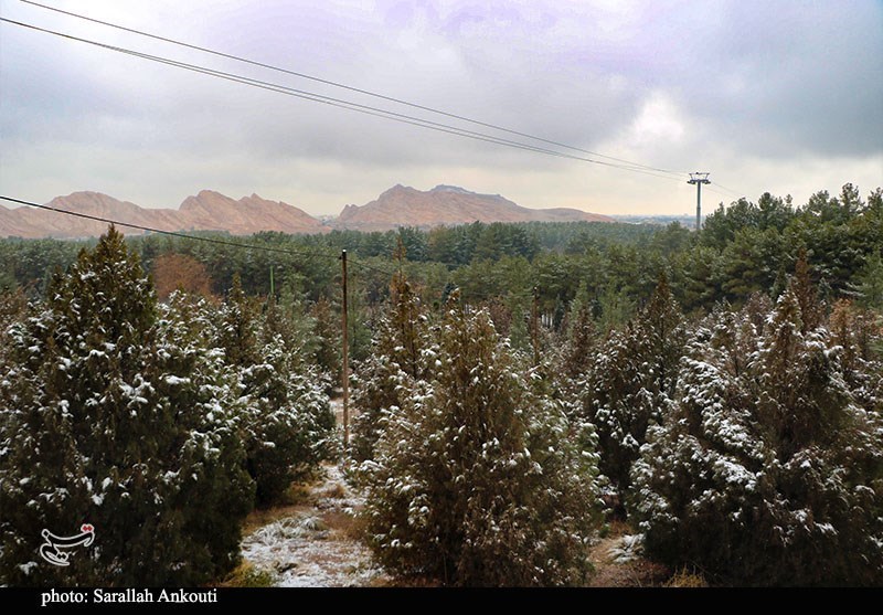 استان کرمان , گردشگری , سفر , 