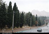 جنگل قائم کرمان