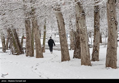 بارش برف در ارومیه