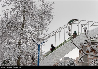 بارش برف در ارومیه