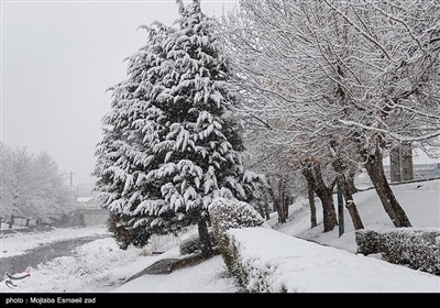 بارش برف در ارومیه