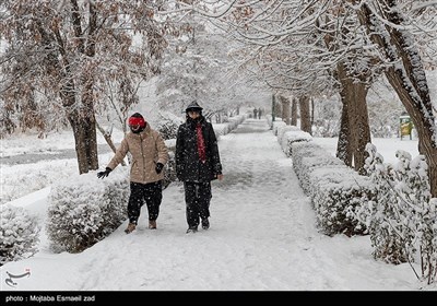 بارش برف در ارومیه