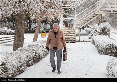 بارش برف در ارومیه