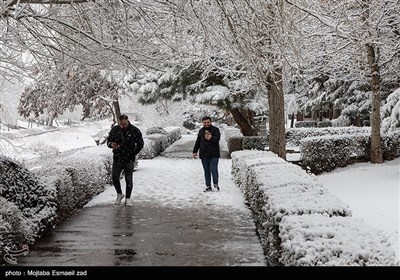 بارش برف در ارومیه