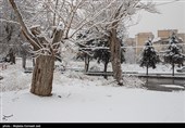 هواشناسی ایران1403/11/8؛بارش شدید برف و باران در 10 استان