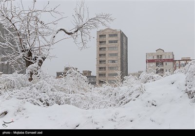 بارش برف در ارومیه