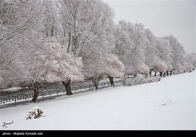 بارش برف در ارومیه