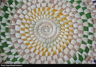  راه‌اندازی نمایشگاه دستاوردهای مهارتی استان بوشهر