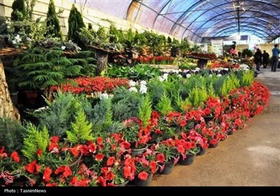 سرشماري،آمار،مركز،هكتار،كشاورزي،همكاري،بهره،گودرزي،مساحت،كشت ...