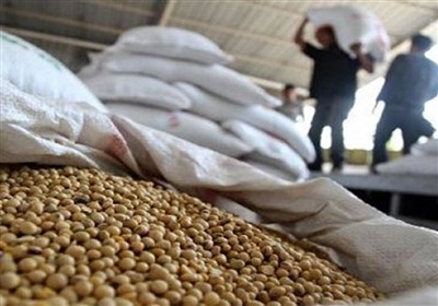 هسته‌ای در کشاورزی ــ 69 | کاربرد فناوری هسته‌ای در جلوگیری از فساد سویا در انبار