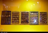 نمایشگاهی با طعم خرما، انجیر و انار در شیراز