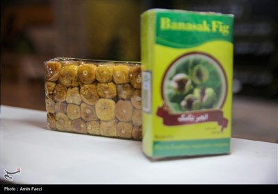 نمایشگاهی با طعم خرما، انجیر و انار در شیراز