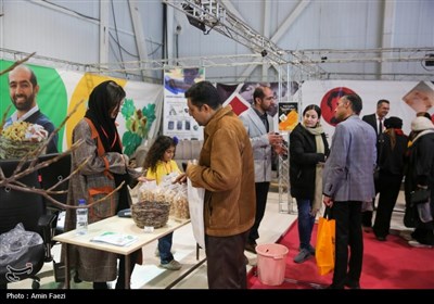 نمایشگاهی با طعم خرما، انجیر و انار در شیراز