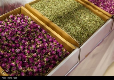 نمایشگاهی با طعم خرما، انجیر و انار در شیراز