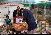 نمایشگاهی با طعم خرما، انجیر و انار در شیراز