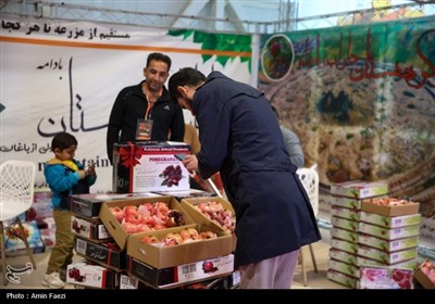 نمایشگاهی با طعم خرما، انجیر و انار در شیراز