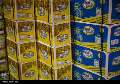 نمایشگاهی با طعم خرما، انجیر و انار در شیراز