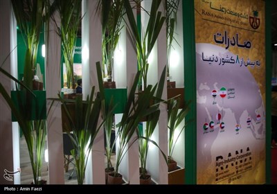 نمایشگاهی با طعم خرما، انجیر و انار در شیراز