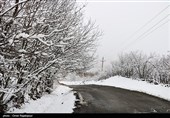 بارش برف در اشکور گیلان