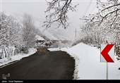 هواشناسی ایران403/11/15؛سامانه بارشی در راه ایران