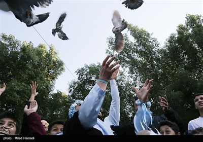 رویای آبی فاطمه