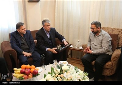 دیدار رئیس سازمان انرژی اتمی با خانواده شهید شهریاری