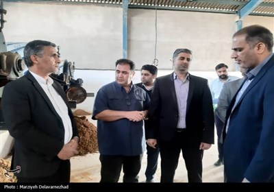 بهره برداری از کارخانه تولید پودر ماهی در بندرلنگه