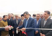 افتتاح نخستین گلخانه یکپارچه یزد؛ گامی بهسوی کشاورزی پایدار
