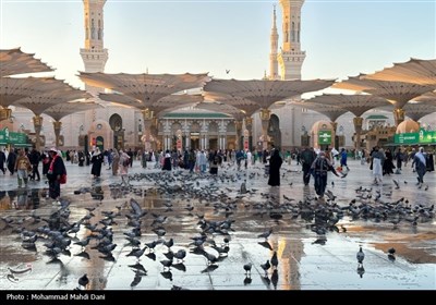 زيارت،حج،مكه،شهر،اعمال،تقرب،الله،سفر،علي،ماه،جفاست،تمامت