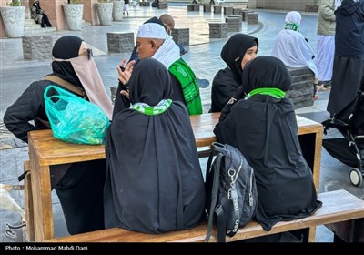 صبح‌های معنوی ضلع جنوبی مسجدالنبی؛ قاب‌هایی از عشق، پرندگان و زیارت