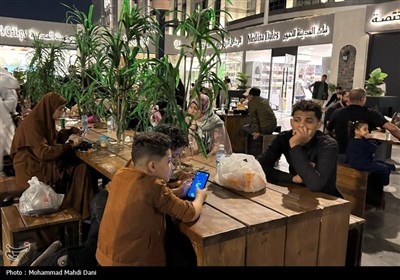 صبح‌های معنوی ضلع جنوبی مسجدالنبی؛ قاب‌هایی از عشق، پرندگان و زیارت