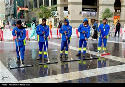 صبح‌های معنوی ضلع جنوبی مسجدالنبی؛ قاب‌هایی از عشق، پرندگان و زیارت