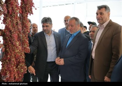 سفر استاندار خراسان جنوبی به شهرستان سربیشه