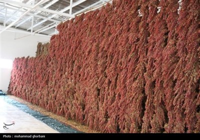 سفر استاندار خراسان جنوبی به شهرستان سربیشه