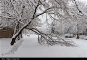 تساقط كثيف للثلوج في أروميه غرب إيران