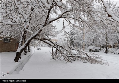 بارش سنگین برف در ارومیه