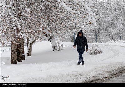 بارش سنگین برف در ارومیه