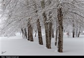 تساقط كثيف للثلوج في أروميه غرب إيران
