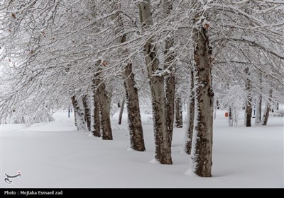 بارش سنگین برف در ارومیه