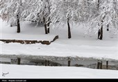 تساقط كثيف للثلوج في أروميه غرب إيران