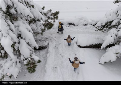 مازندران،نفر،نجاتگران،فخاري،امدادرساني،برف