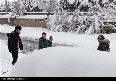 كردستان،استان،تسنيم،مديركل،مدارس،گردنه،تعطيلي،محور،گزارش،راه ...